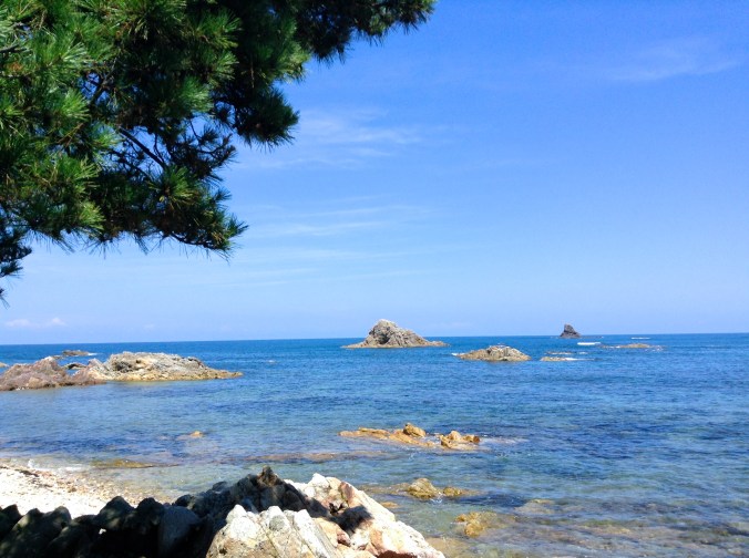 IMG_8942 - バージョン 2