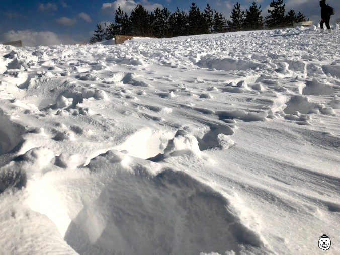 tottori-sand-dunes-snow002